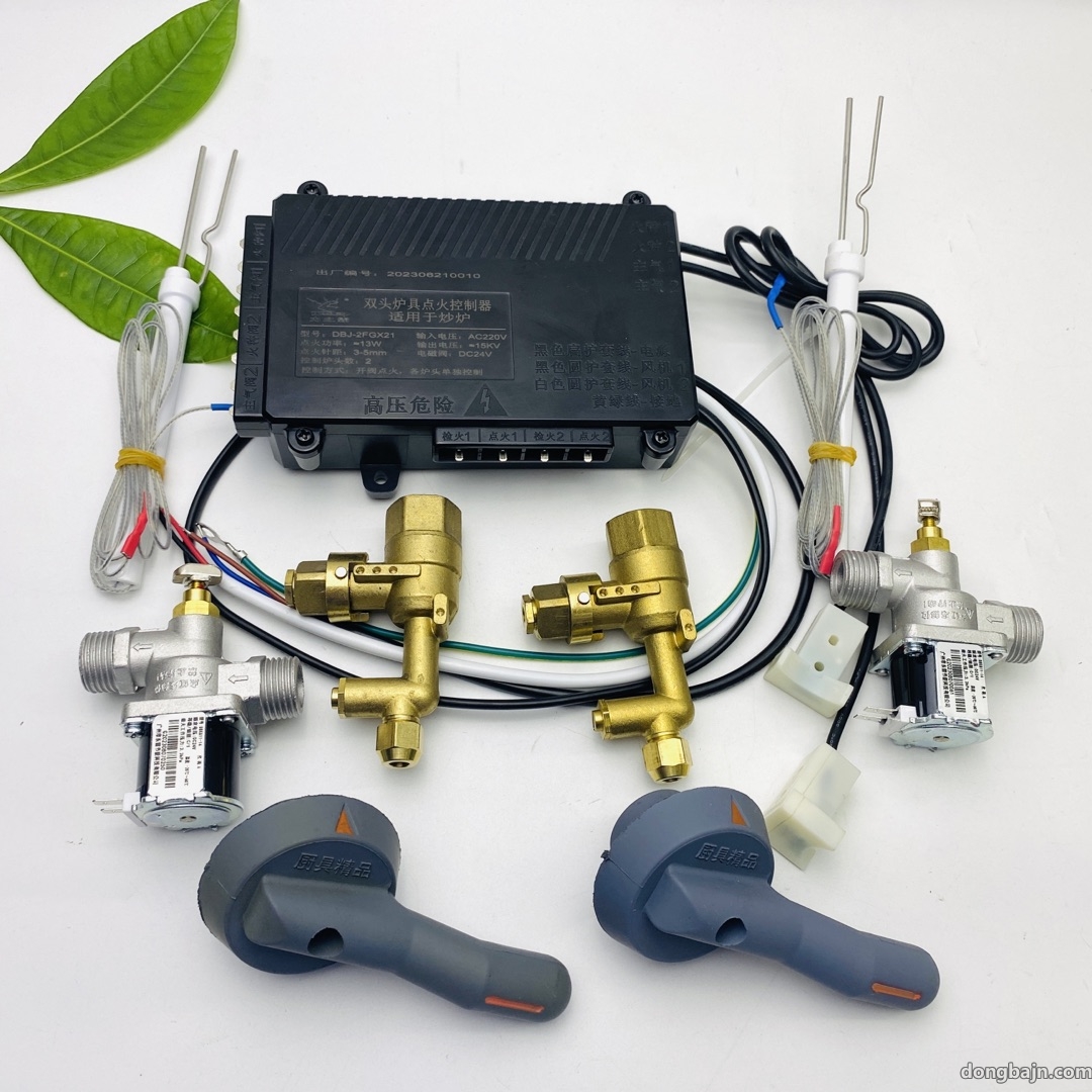 阀控开关双头炒炉熄火保护控制器DBJ-2FGX21 阀控开关双头炒炉熄火保护控制器DBJ-2FGX21
